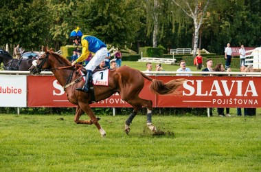 kvalifikace_na_vp_to_pardubicko_40