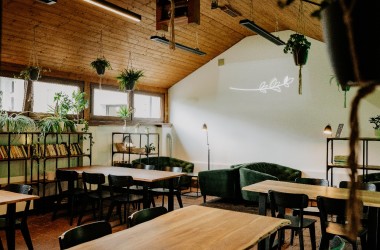 Tymián bistro (4)