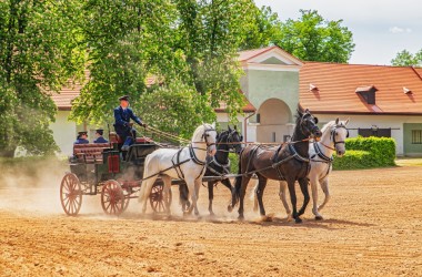 Objevte více než 400 let starou tradici chovu koní v Kladrubech nad Labem.